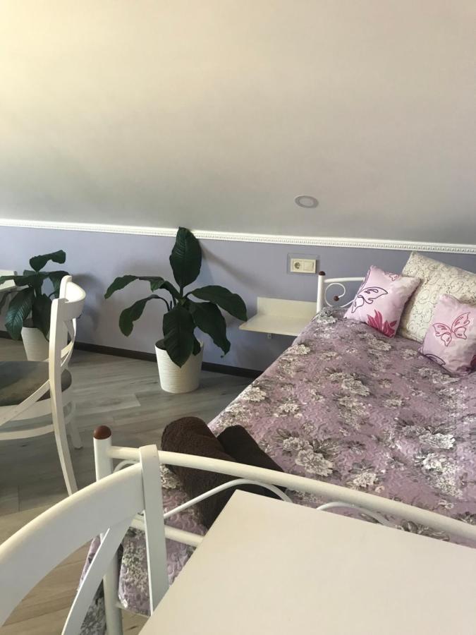 Villa Galicia Berehove  Extérieur photo